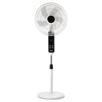 162_zff_901_5000kh5000